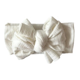 Daffodil ~ White Ribbed